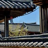 📌 전주 한옥마을 | 한국 전통의 숨결을 느낄 수 있는 곳