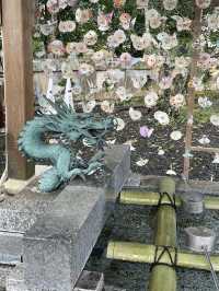 【佐賀景點推薦】 武雄神社⛩️｜穿越千年時光的巨木秘境