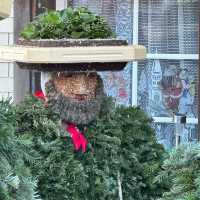 Echoes of Bells & Spirits: Stepping into Silvesterchlausen in Appenzell