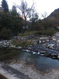 설악산 단풍