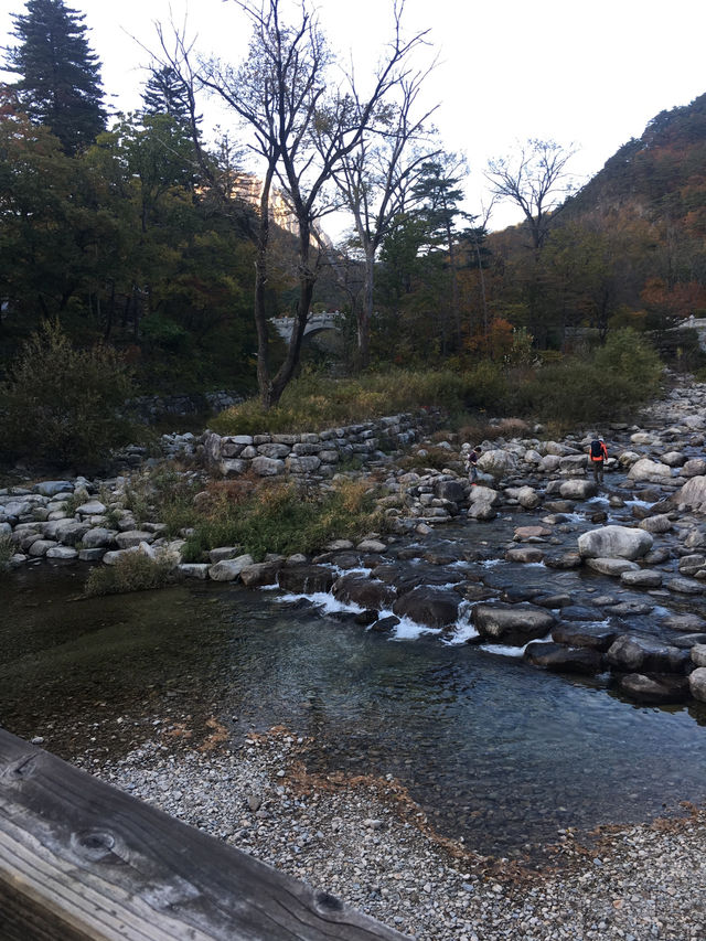 설악산 단풍