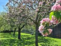 Wandering Through Living Art – My Day at Hidcote Manor Garden