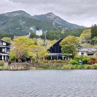 KINRIN LAKE, YUFUIN | CHERRY BLOSSOMS BY THE MISTY LAKE 🌸🌿✨
