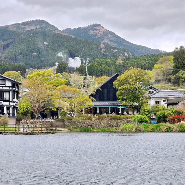 KINRIN LAKE, YUFUIN | CHERRY BLOSSOMS BY THE MISTY LAKE 🌸🌿✨
