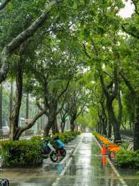 Taipei Tales Unfold! – Discover the Magic of Taiwan’s Capital