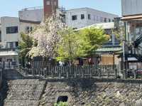 飛騨高山・古い町並（飛騨老街）：江戸時代の風情が息づく歴史散策スポット