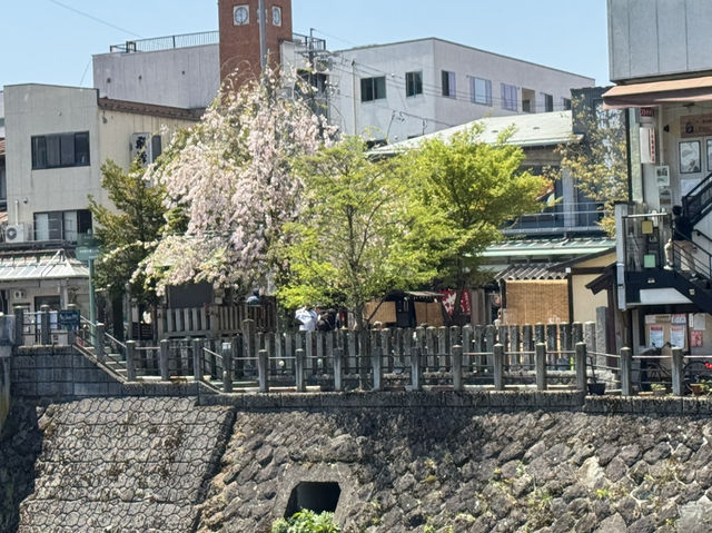 飛騨高山・古い町並（飛騨老街）：江戸時代の風情が息づく歴史散策スポット