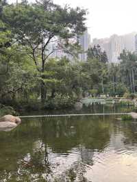 不用出國，香港公園的向日葵花海🌻☀️
