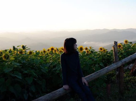 วันวานที่…..บ้านภูหมอก ⛰️