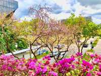 Singapore Gardens – Urban Oasis of Beauty and Innovation