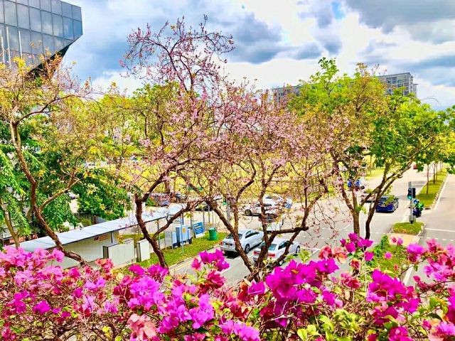 Singapore Gardens – Urban Oasis of Beauty and Innovation