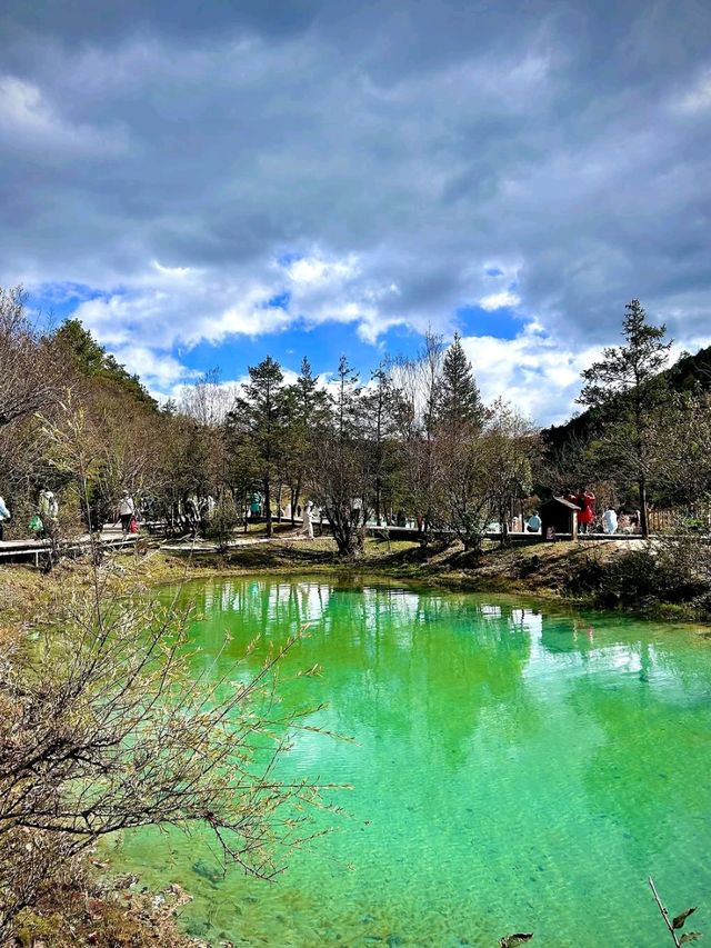 Nature’s Chillest Instagram Filter