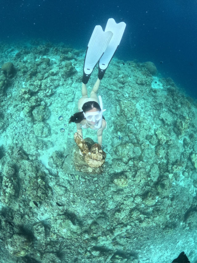 Cebu-Palawan