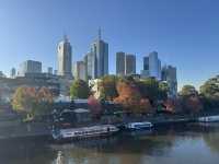 3 Highlights of Melbourne - Relaxing , healing , artistic vibes 