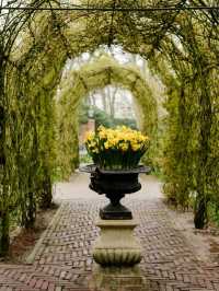 Keukenhof Gardens – The Netherlands in Full Bloom