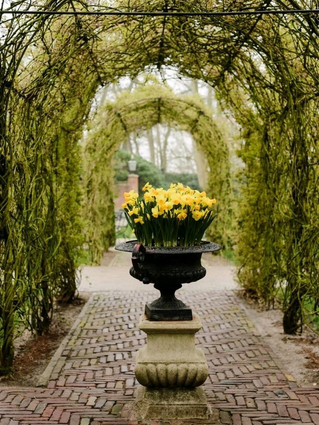 Keukenhof Gardens – The Netherlands in Full Bloom