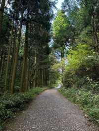 Spring Wanders in Magome