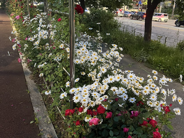 도서관에서 양식을 쌓고 냇물을보며 산책, 이런 여행어떤가요