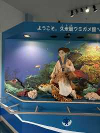【久米島】ウミガメと目が合った日｜ウミガメ館で感じた命の尊さ🐢