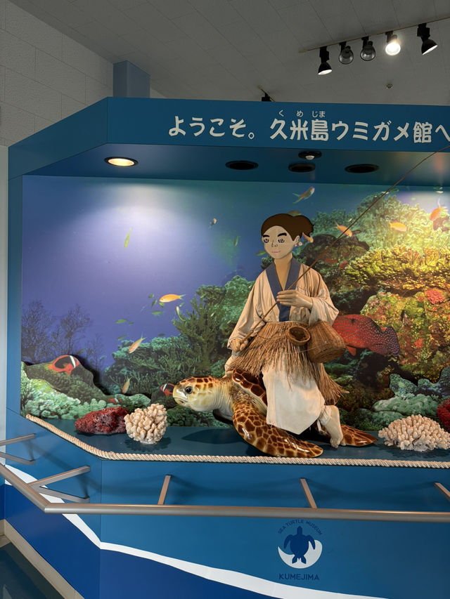 【久米島】ウミガメと目が合った日｜ウミガメ館で感じた命の尊さ🐢