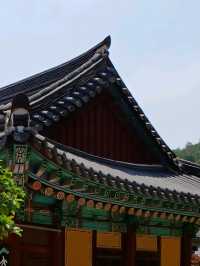 가을이면 더욱 아름다운 은해사의 풍경