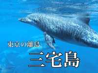 【東京】三宅島への行き方を紹介！