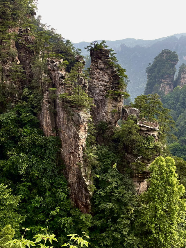 Zhangjiajie National Park is very confusing but it doesn’t need to be!! 