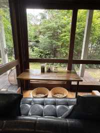 【大分グルメ】住宅街の中に木に囲まれた素敵なカフェ🌳