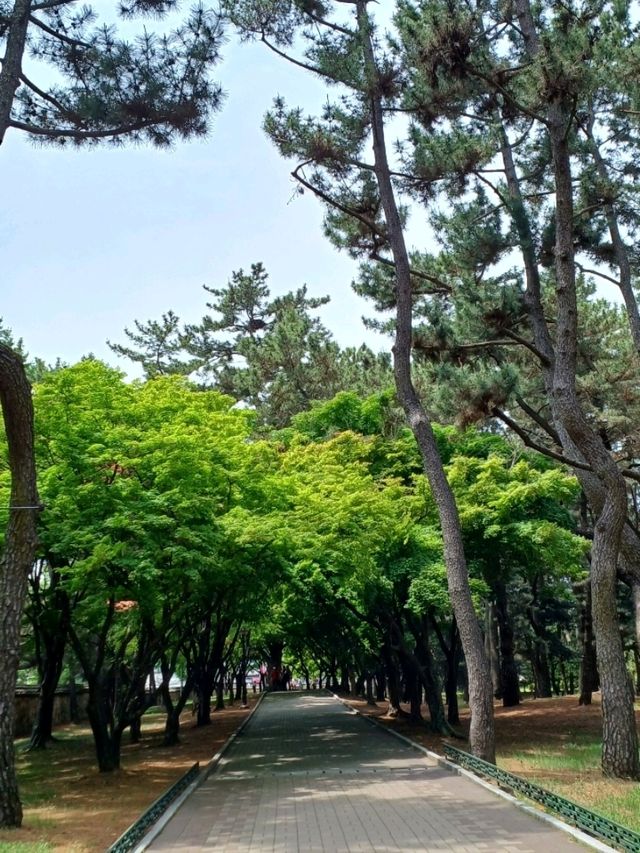 소리 없이 스며드는 고요한 아름다움