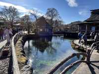 Morning at Oshino Hakkai: Where Fuji’s Waters Whisper