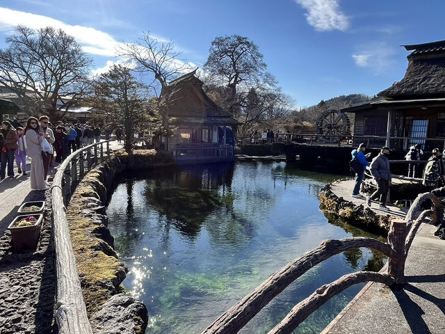 Morning at Oshino Hakkai: Where Fuji’s Waters Whisper