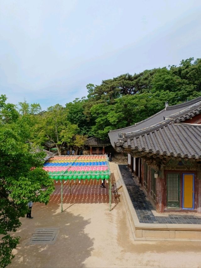 천년의 세월을 품은 시간 여행, 불국사