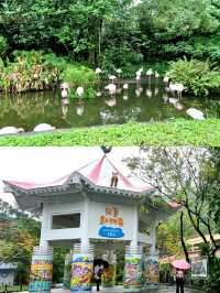 🌟 A Wonderful Day at Taipei Zoo