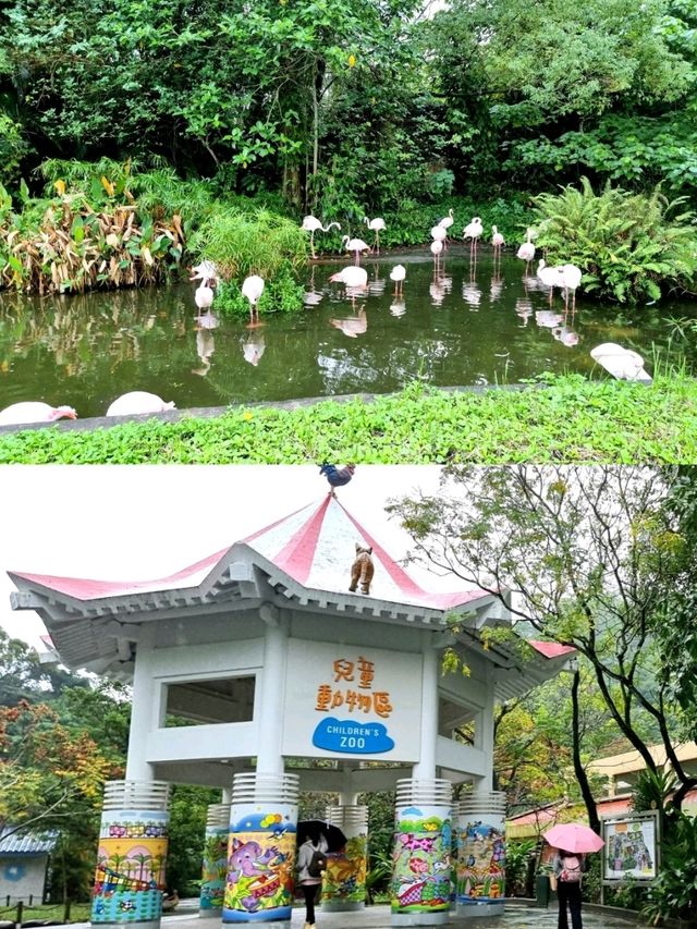 🌟 A Wonderful Day at Taipei Zoo
