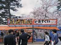 弘前公園櫻花季