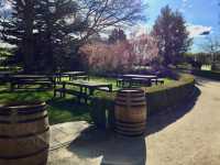 Savoring Tasmania — An Afternoon at Josef Chromy Wines