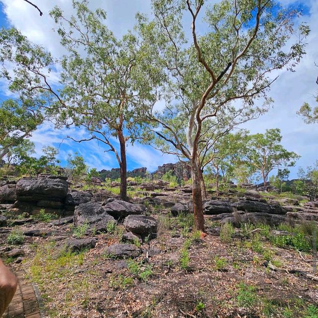 Kakadu National Park – NT