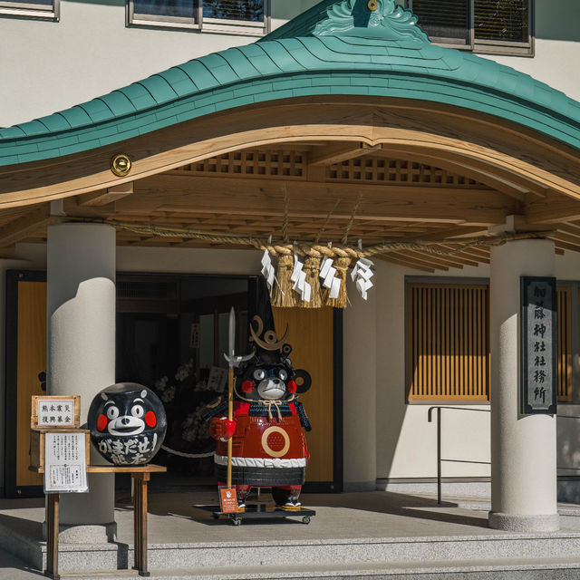Impressions of Kumamoto Castle | A Symbol of History and Vibrancy 🏯🐻