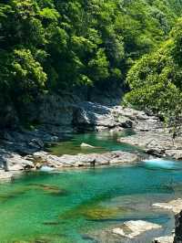 Oboke & Koboke: Japan’s Untamed Natural Wonder
