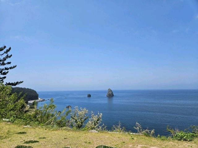 울릉도 인생샷 명소 카페 울라