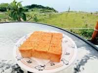 北海岸秘境咖啡廳-山中怪獸｜海景、美食與毛孩的療癒時光