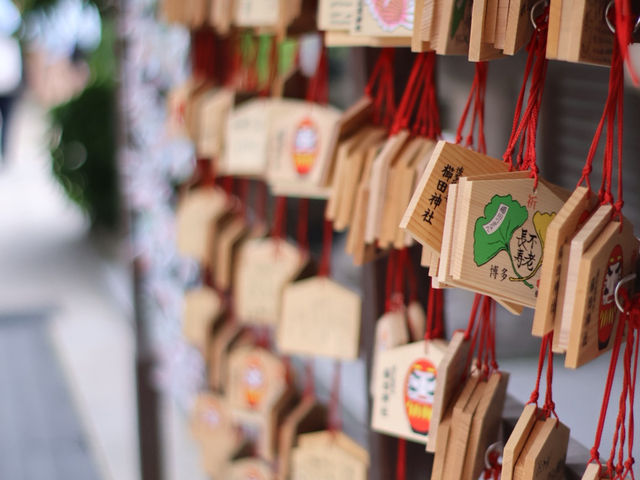 Kushida Shrine (ศาลเจ้าคุชิดะ) ในวันเงียบๆ