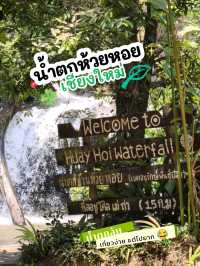 🌿 น้ำตกห้วยหอย – เส้นทางลำบากแต่คุ้มค่าเมื่อไปถึง