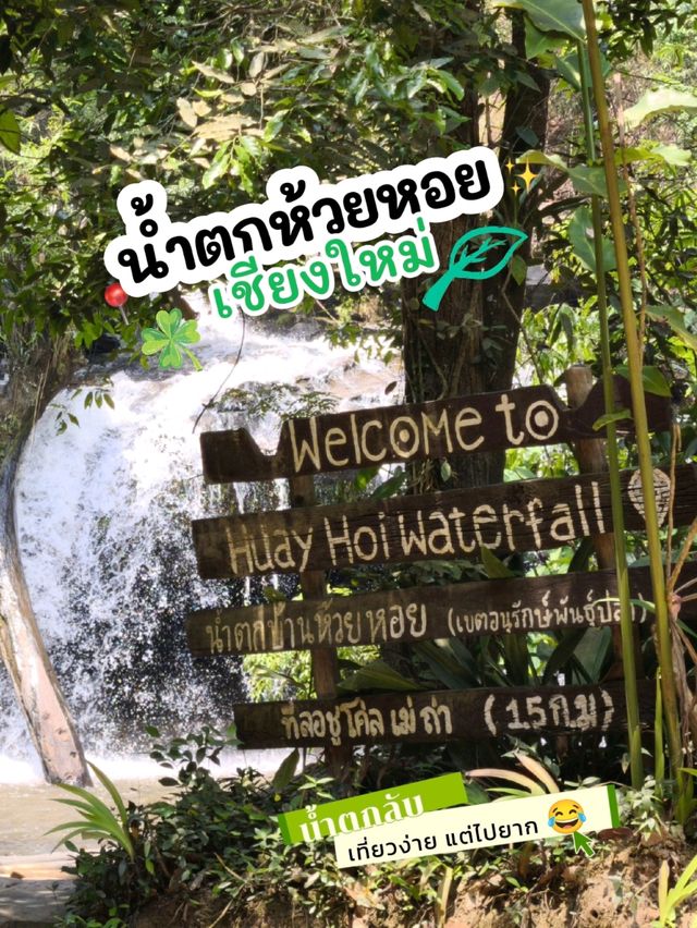 🌿 น้ำตกห้วยหอย – เส้นทางลำบากแต่คุ้มค่าเมื่อไปถึง
