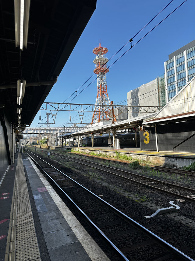 指宿一日遊