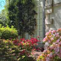 Bodnant Garden | A Secret Garden with a 4.8-Star Google Rating! 🌸🌳