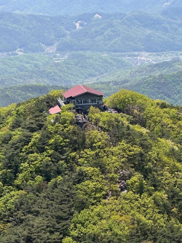 Palgongsan’s Tough Love Peak 
