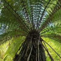 Christchurch Botanic Gardens