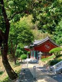 숲속의 감성 충전소, 장춘사 데이트 🌲