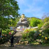 Temple Vibes + Nature Feels